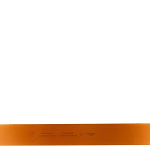Women Bobbies Belts | Anafi