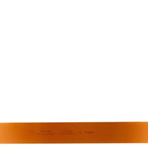 Women Bobbies Belts | Anafi
